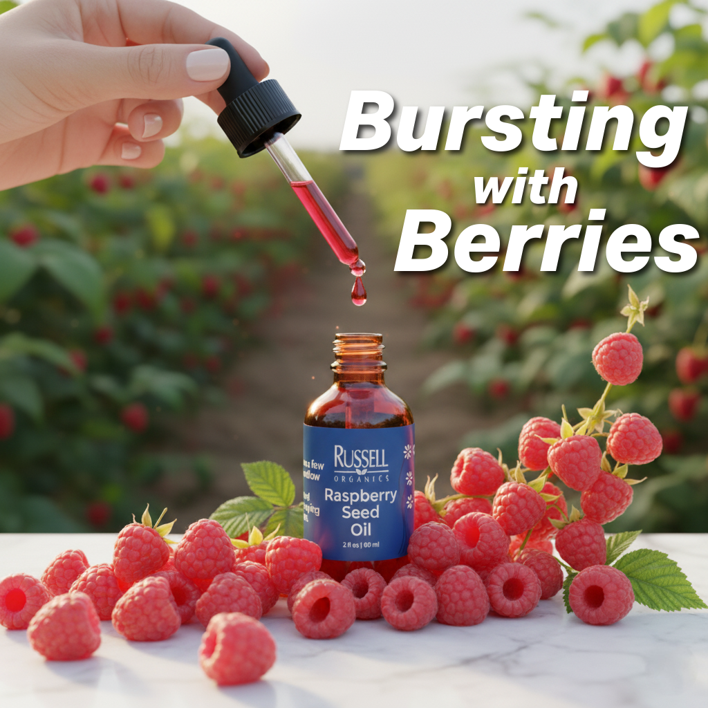 Raspberry Seed Oil